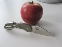 IMG_0877.jpg