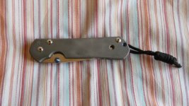 Sebenza P1010963.JPG
