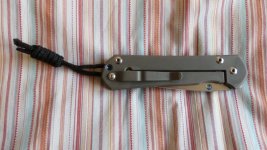 Sebenza P1010964.JPG