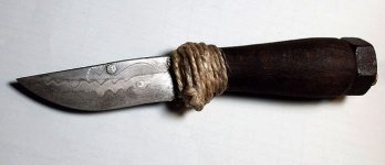 rat14.jpg