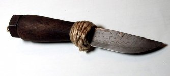 rat15.jpg