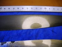 DSCN0241.jpg