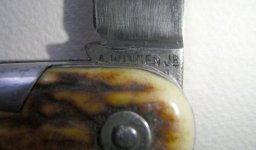 wing4.jpg