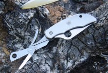 Spyderco Cliptool Scissors (5).JPG