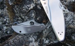 Spyderco Cliptool Scissors (9).JPG