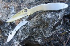 Spyderco Cliptool Scissors (2).JPG