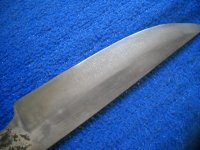 DSCN0250.jpg