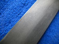 DSCN0251.jpg