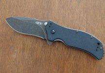 ZT1.jpg