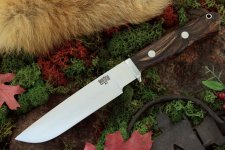 g2_cocobolo_brl_jenni.jpg