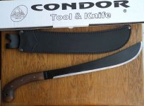 condor.jpg condor.jpg