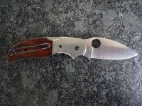 Sage 4 C123 WD 002.JPG