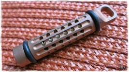 Glowworm-1.jpg