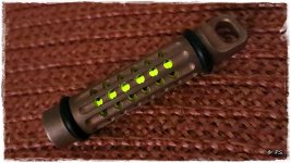 Glowworm-2.JPG