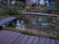IMG_0153.jpg