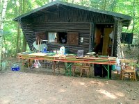 wald_1.JPG