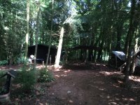 wald_2.JPG