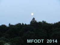Img_8412.jpg