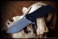 ZT 350 1a.jpg