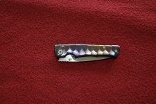 IMG_1360.jpg