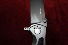 IMG_1379.jpg