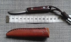 20141009_105334.jpg