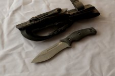 zt_0100_2.JPG