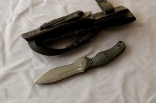 zt_0100_3.JPG