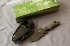 zt_0121_1.JPG
