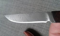 20141009_135309.jpg