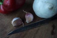 DSC02551-2.jpg