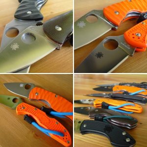 SPYDY FAMILY