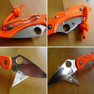 Spyderco Dragonfly FRN orange