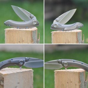 Microtech Marfione Custom Titanium Whaleshark