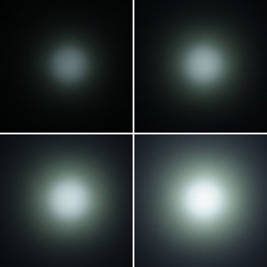 BeamshotsZebra_Spark