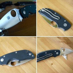 Spyderco Cat