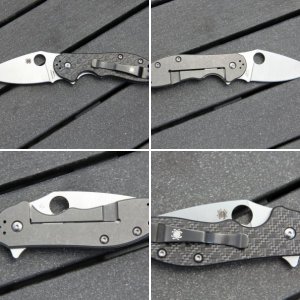 Sypderco Domino