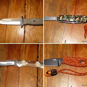 Bushwacker's Knives