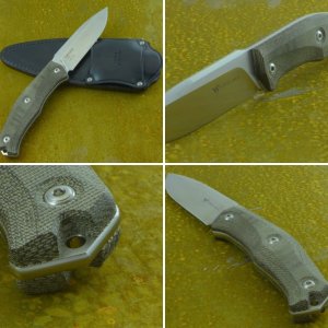 Steel Will Gekko