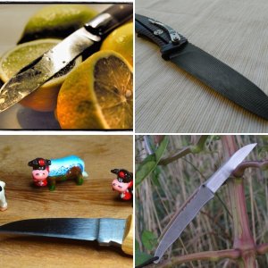 MF-Fotowettbewerb Dezember 2015