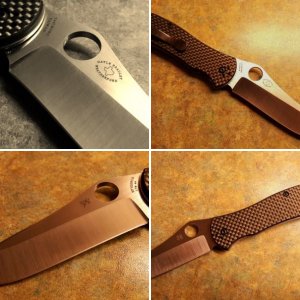 Spyderco Gayle Bradley 2