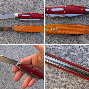GEC #81