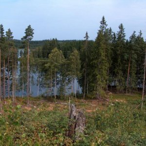 Platz für Outdoorkurse