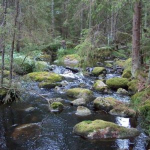 Bach nähe meinem Platz für die Outdoorkurse
