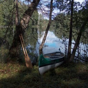 Svinasjön , 300m neben meiner Werkstatt