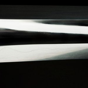 IMG 0284