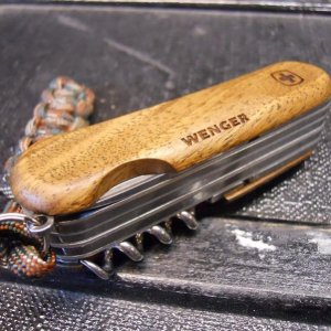 EvoWoods557