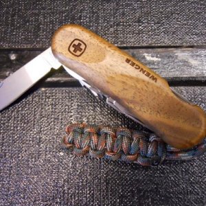 EvoWoods5572