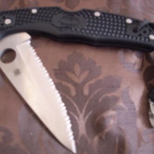 DSCI0540