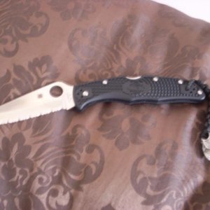 DSCI0542